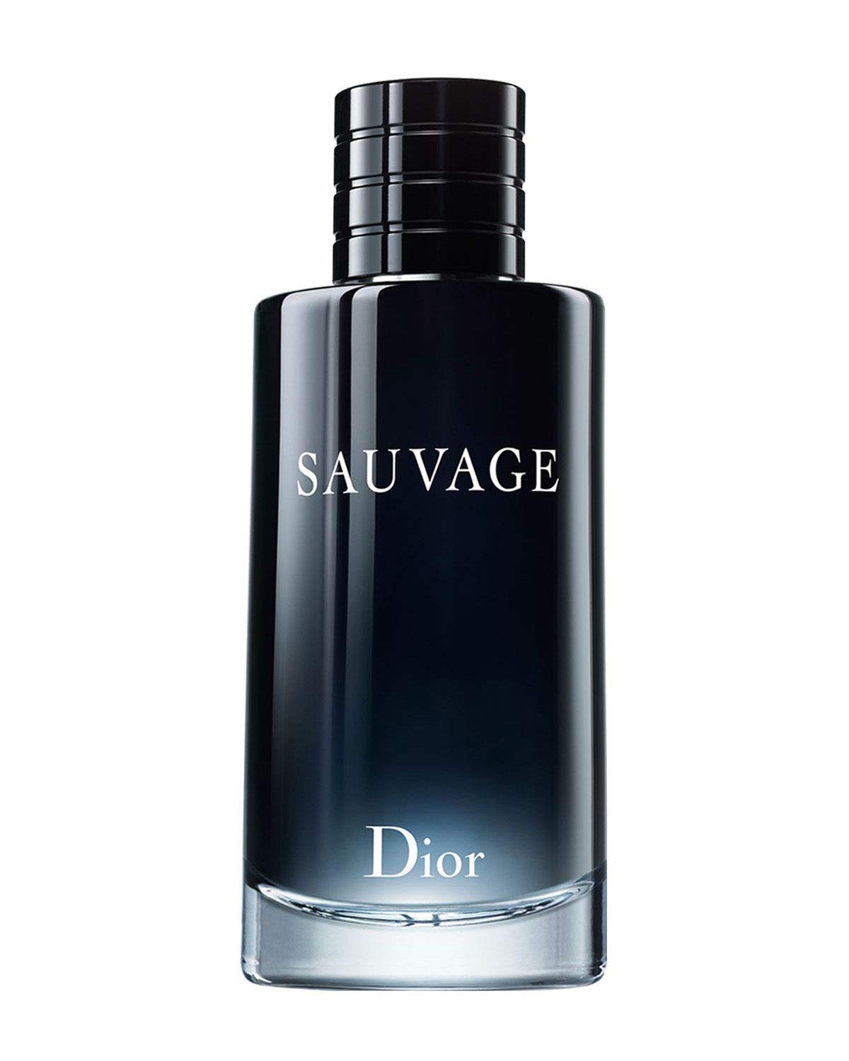 دیور ساواج Dior Sauvage – فروشگاه اینترینتی شارلوت گالری